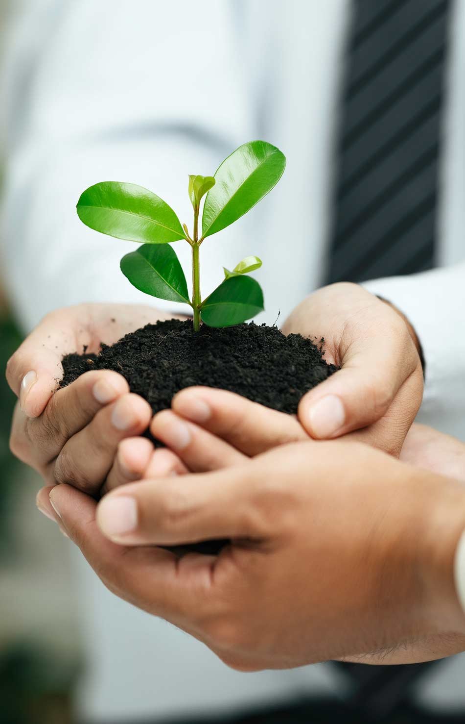 huella-ambiental-juan-energy