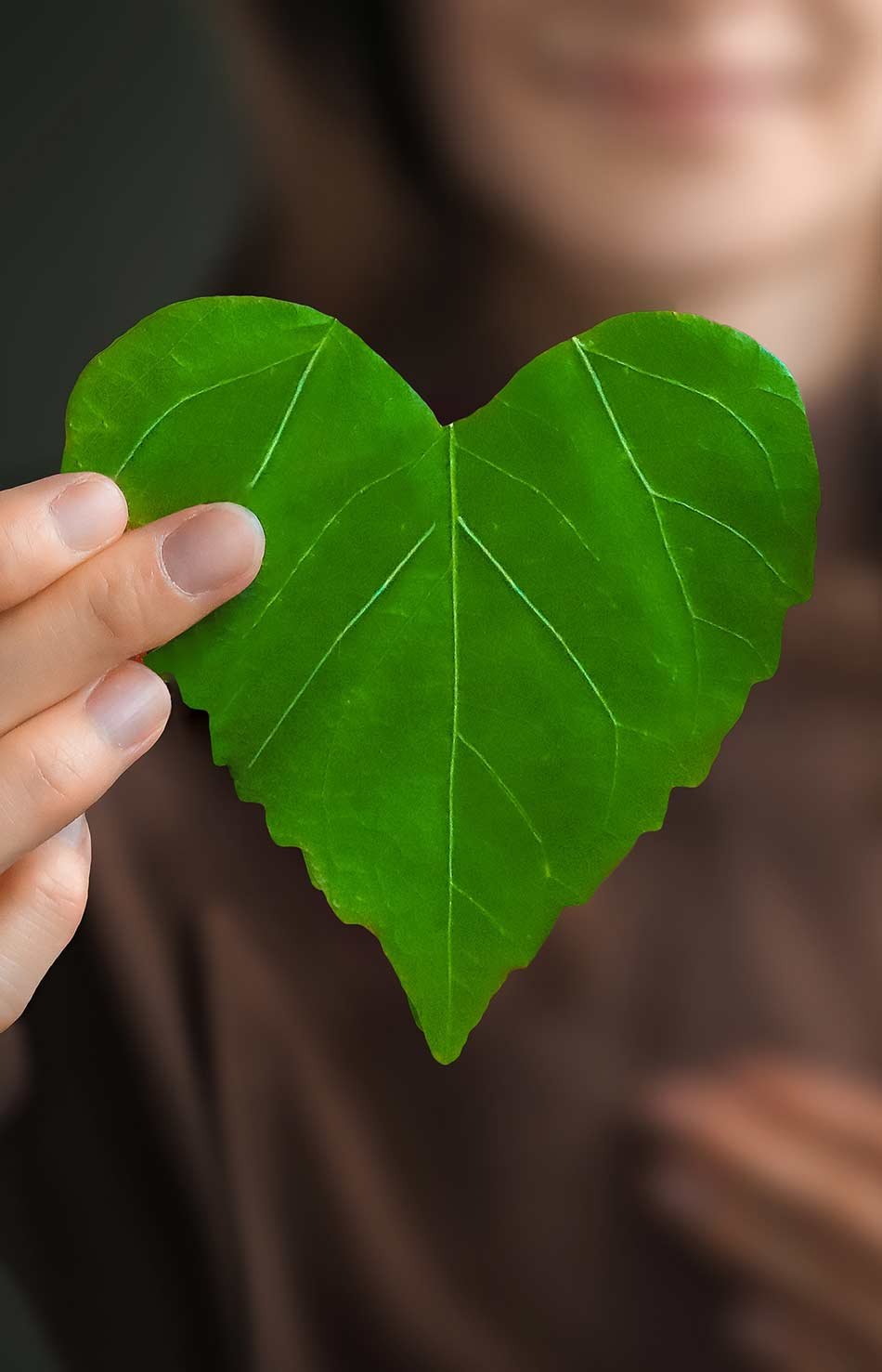 sostenibilidad-juan-energy